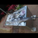 Ein Speerfisch, den wir uns als Fish Molee haben schmecken lassen